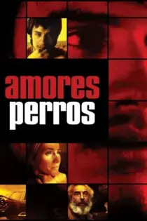 Amores perros (2000)