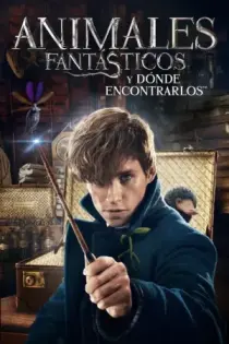 Animales Fantásticos: Y Dónde Encontrarlos (2016)
