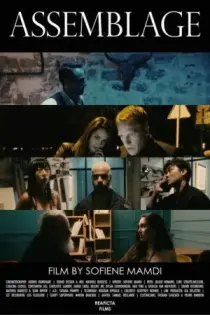 Assemblage (2024)