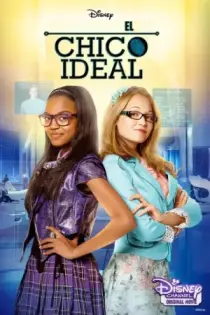 Cómo Crear El Chico Ideal (2014)