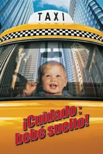 ¡Cuidado: Bebé suelto! (1994)