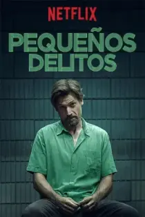 Delitos Menores (2017)