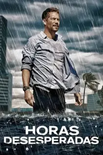 Horas desesperadas (2013)