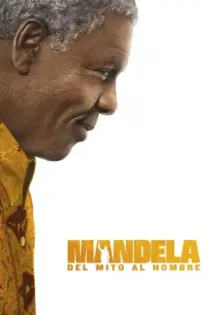 Mandela: Long Walk to Freedom (2013)