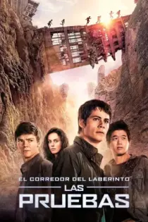 Maze Runner: Prueba de fuego (2015)