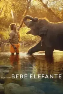 Nuestro bebé elefante (2022)