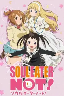 Soul Eater Not! (2014)