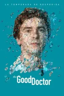 The Good Doctor (2017)